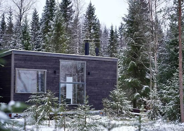 Unique Cabin With Breathtaking Northern Light View