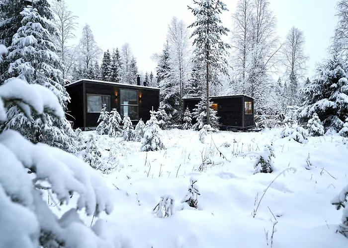 Unique Cabin With Breathtaking Northern Light View